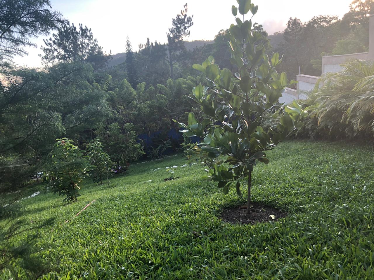 casas - Vendo casa de veraneo en la montaña de San Cristóbal cambita La colonia 8