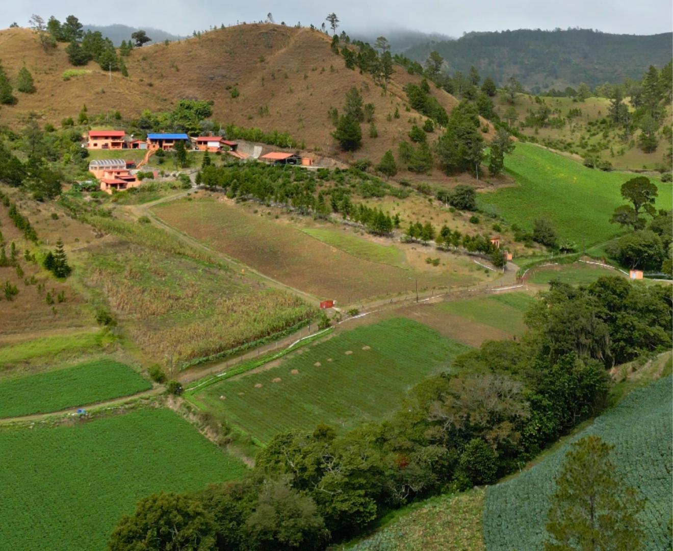 solares y terrenos - Finca en constanza con amplio terreno para siembra