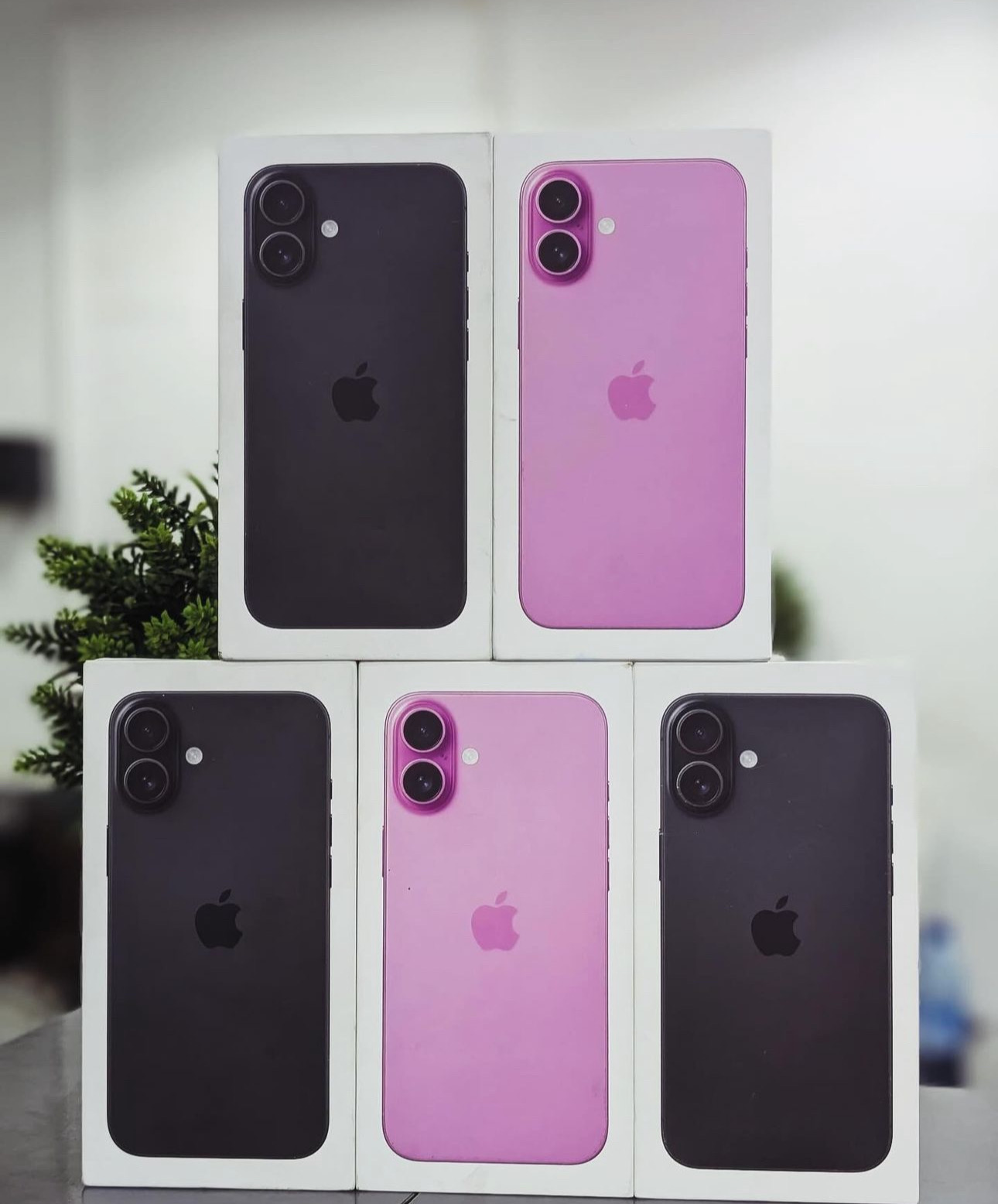 celulares y tabletas - iPhone 16+ Plus 256GB Negros & Pink 0