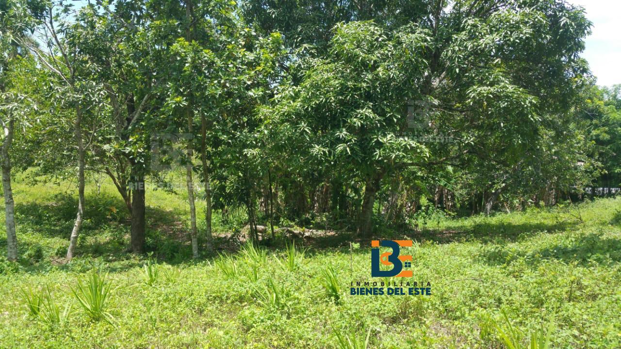 solares y terrenos - Se Vende Finca con 4.5 Tareas en Ramon Santana 7