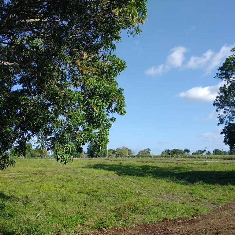 solares y terrenos -  FINCA PEQUEÑA