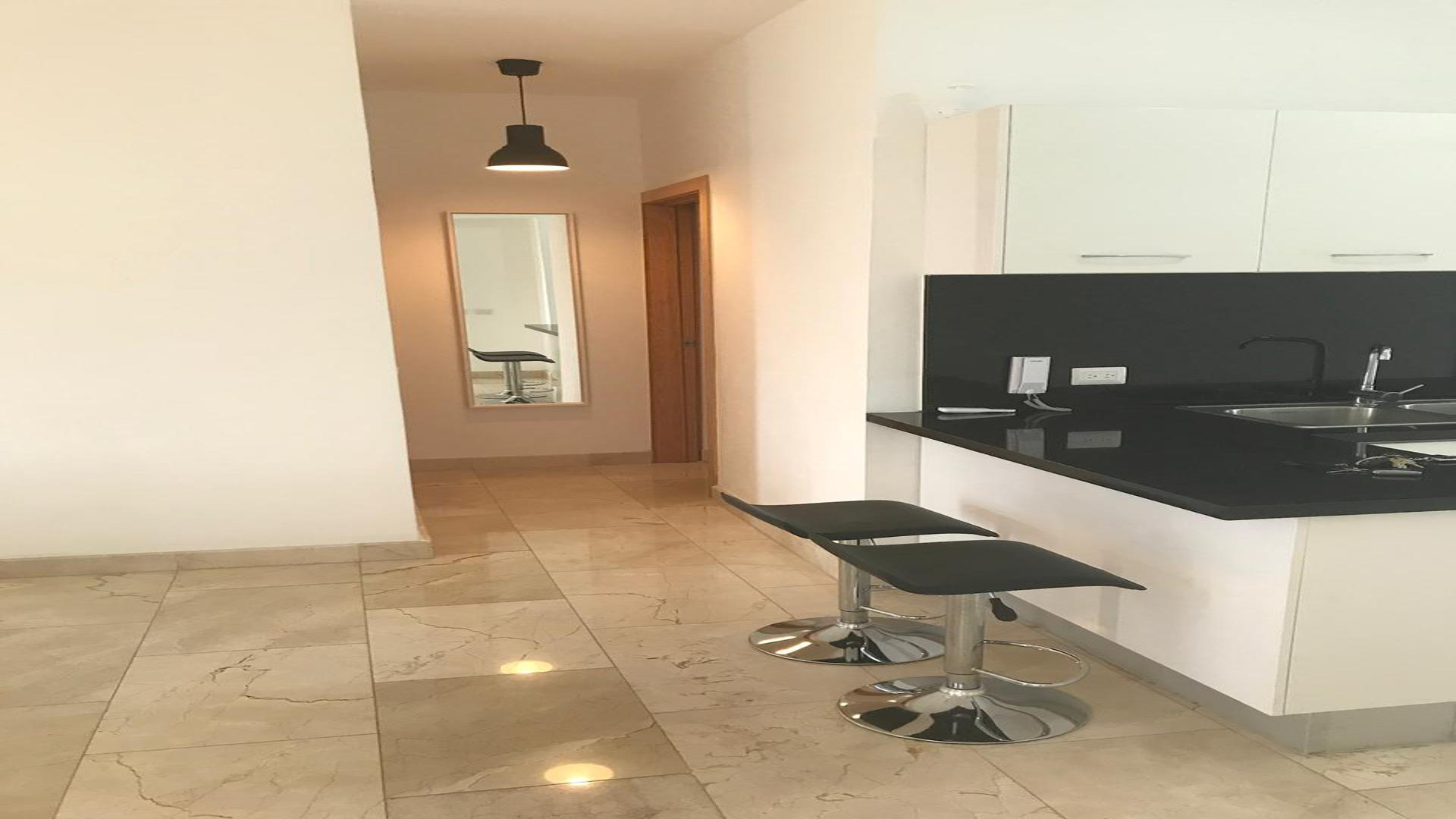 apartamentos - Apartamento Amueblado en Venta en Piantini 1