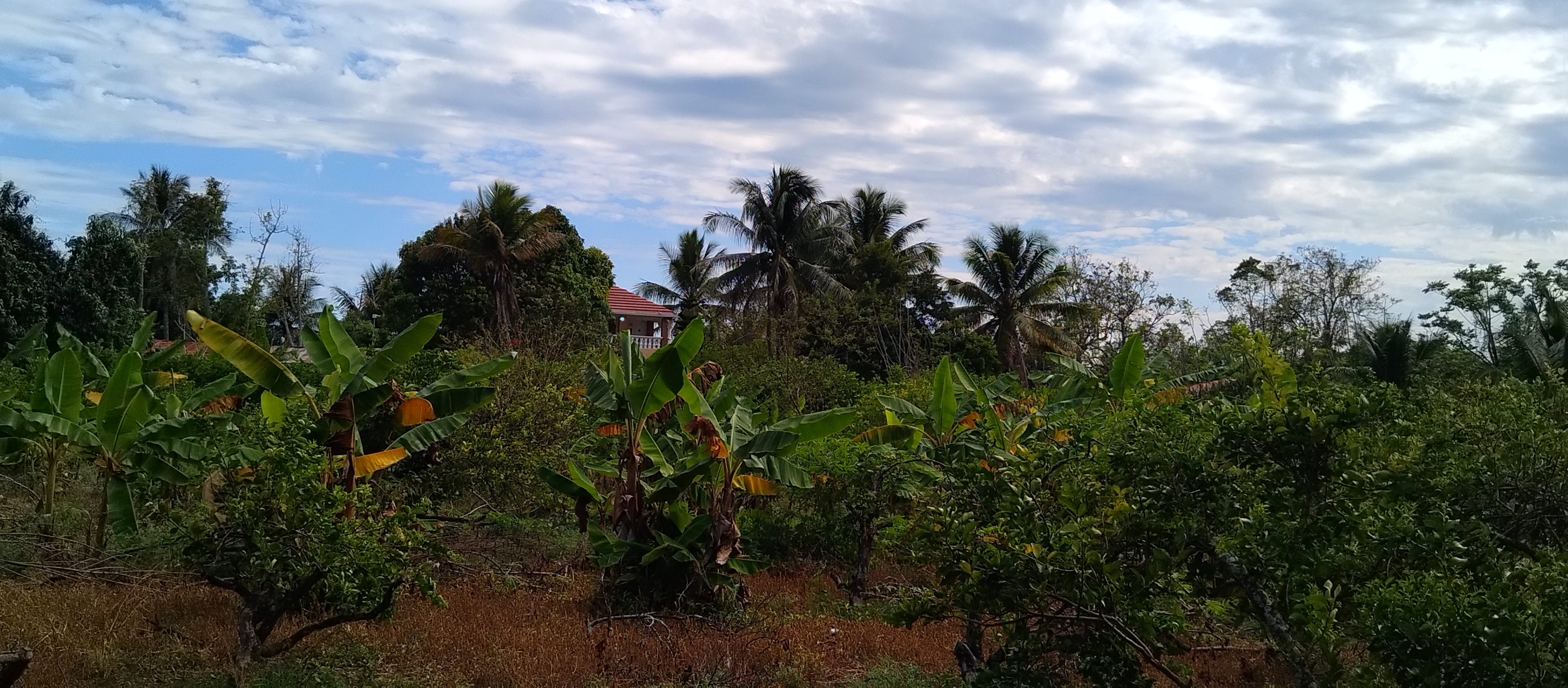 solares y terrenos - Terreno, área de 30,491.73M2, próximo al Merca. 7