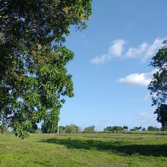 solares y terrenos -  FINCA PEQUEÑA 1