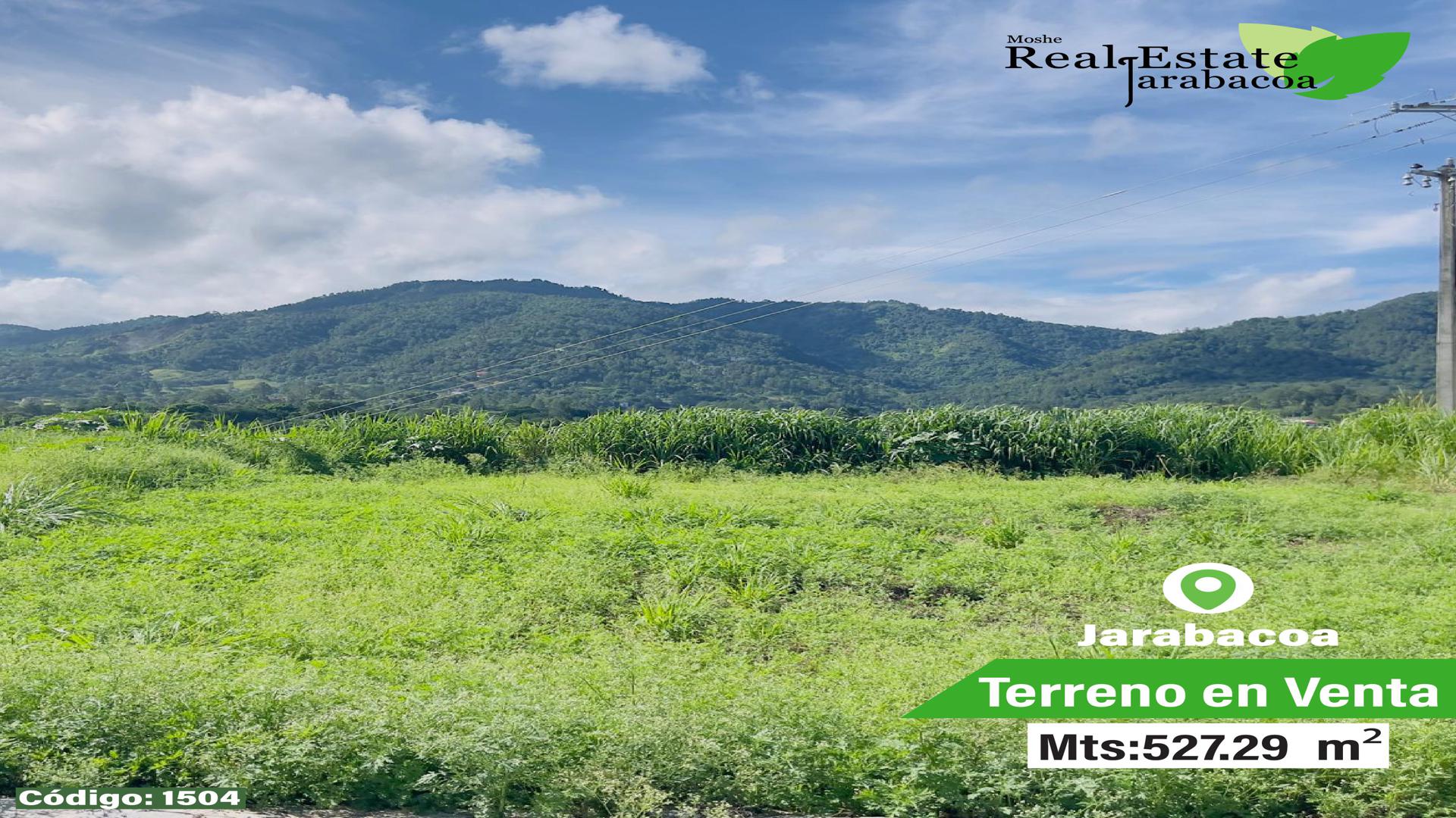 solares y terrenos - Terreno  en venta en Jarabacoa