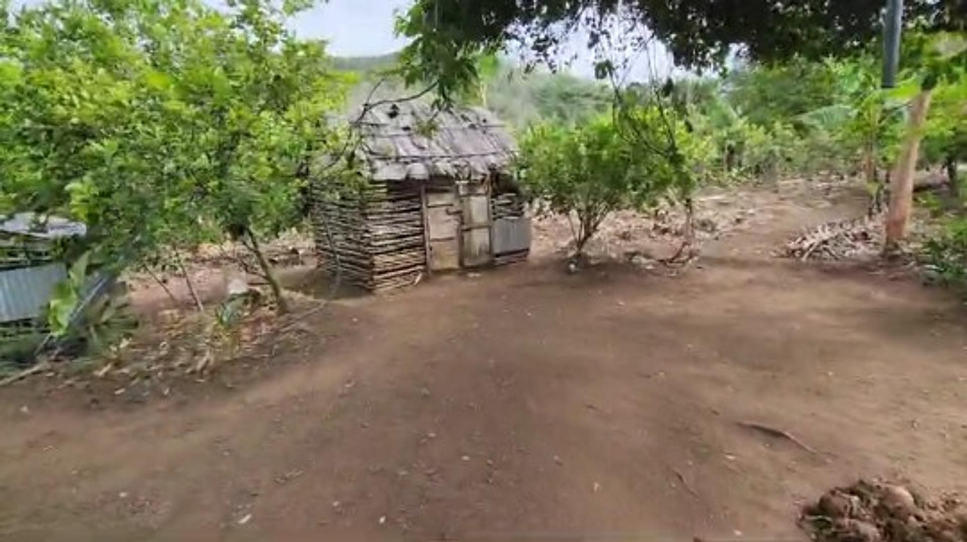 solares y terrenos - Finca Parcela en yamasa 2