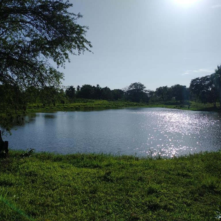 solares y terrenos -  FINCA PEQUEÑA 2