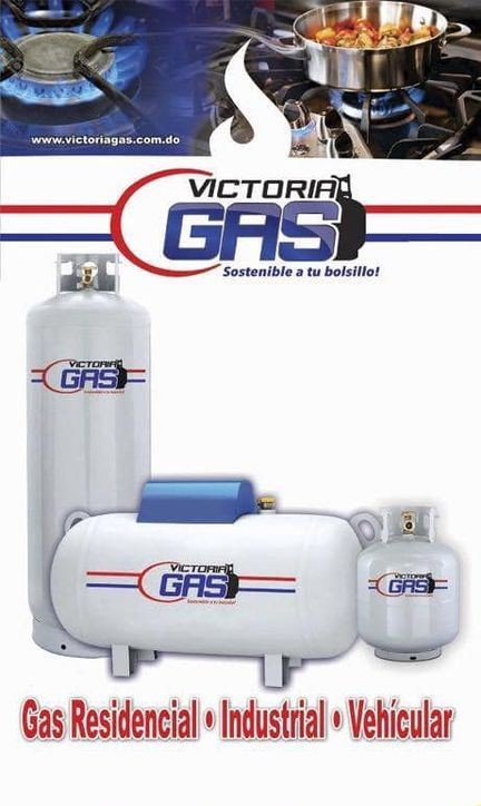 servicios profesionales - Venta de gas y gasoil a domicilio.