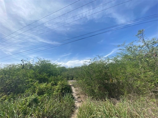 solares y terrenos - Venta de terreno de oportunidad en boca chica en la misma avenida con 100,000mts 6