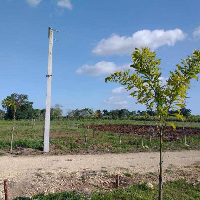 solares y terrenos -  FINCA PEQUEÑA 3