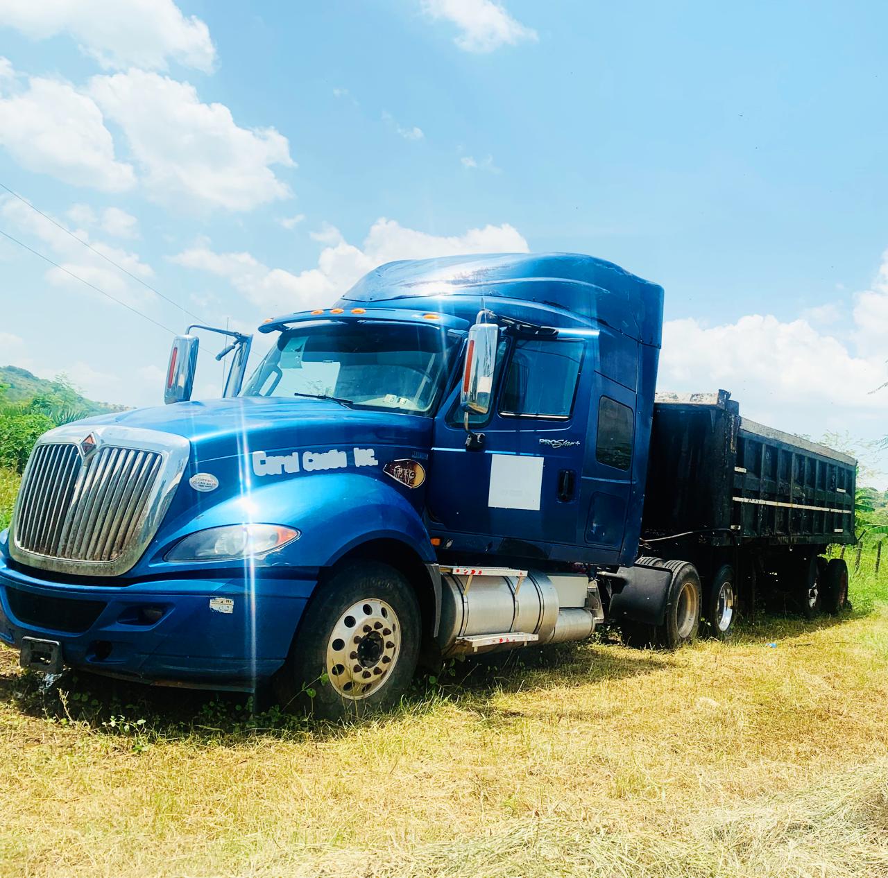 camiones y vehiculos pesados - Camion International Prostal LF687 2013 poco uso  2