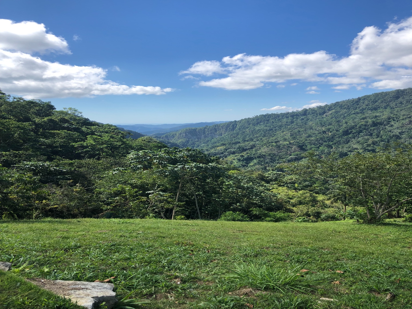 solares y terrenos - Vendo solar de 2,000 mts. En La montaña de san Cristobal La colonia  6