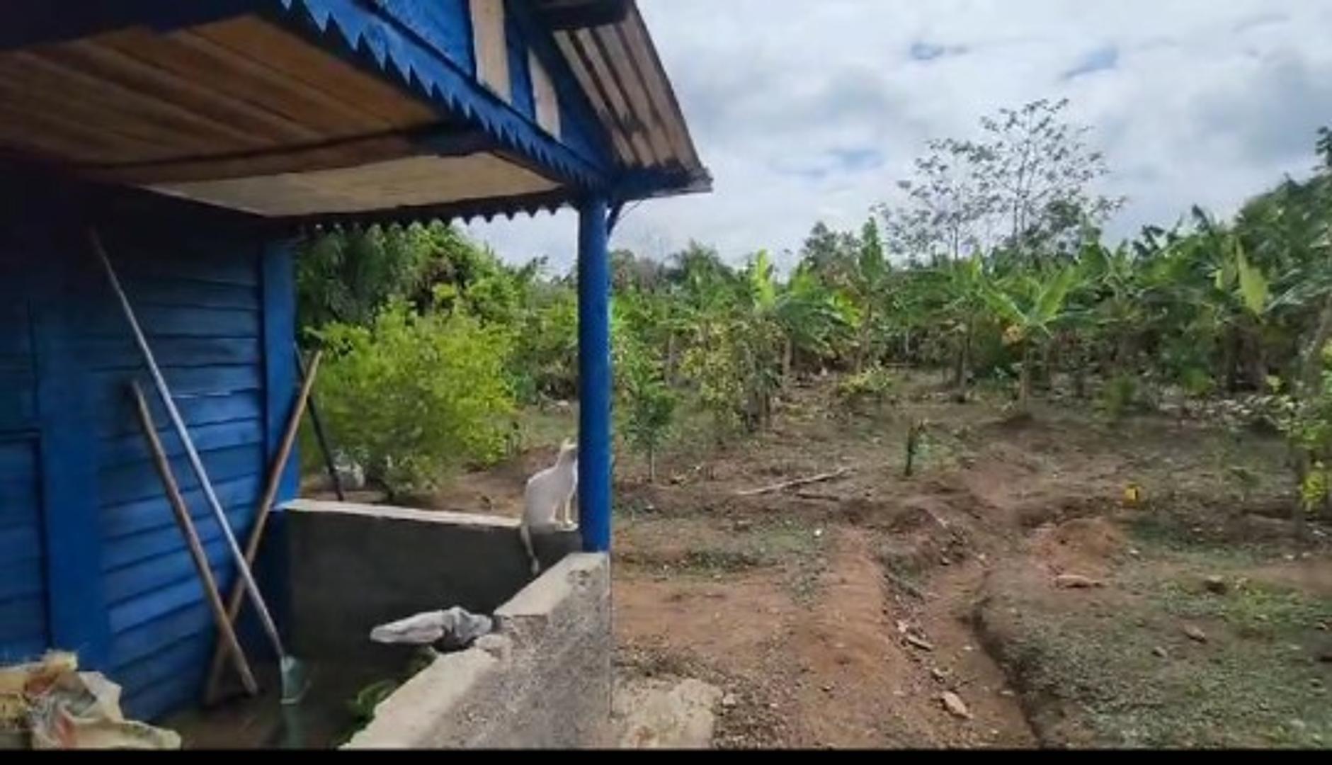 solares y terrenos - Finca Parcela en yamasa 4