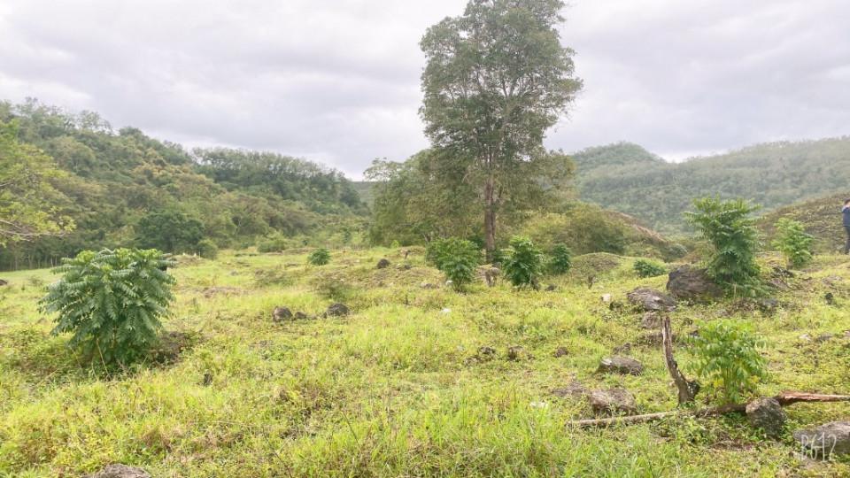 solares y terrenos - Terreno en Venta en YERBA DE CULEBRA 1