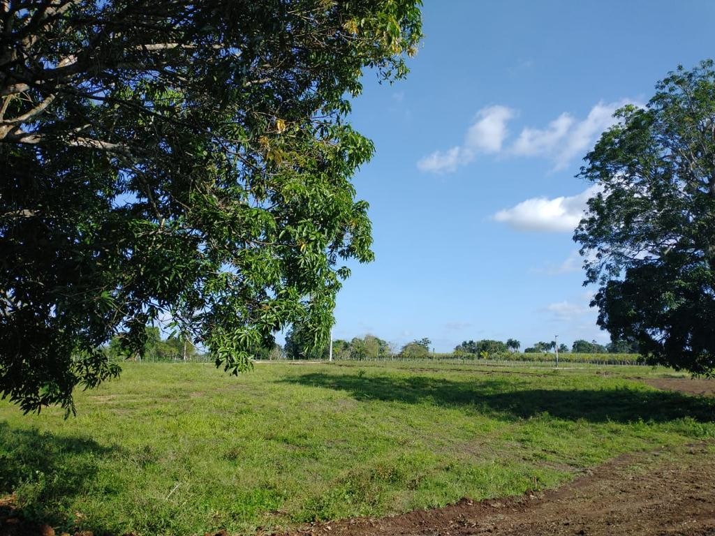 solares y terrenos -  FINCA PEQUEÑA 4