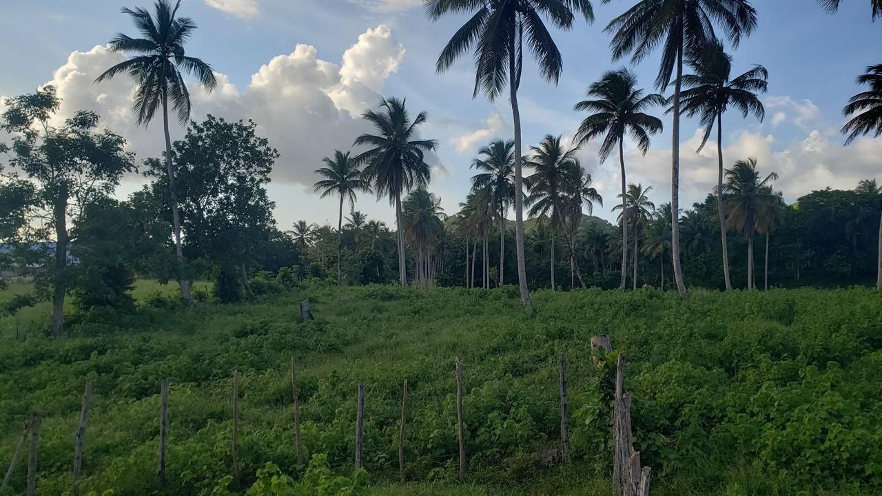 solares y terrenos - Solar en venta en Sanchez - Samana 3