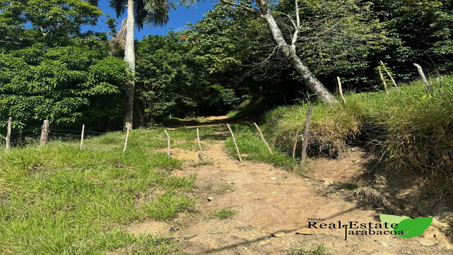 solares y terrenos - Terreno en venta Jarabacoa 1