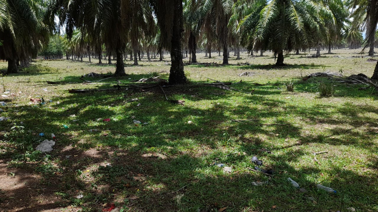 solares y terrenos - Solar 8,000 tareas en San Francisco de Macoris
 1