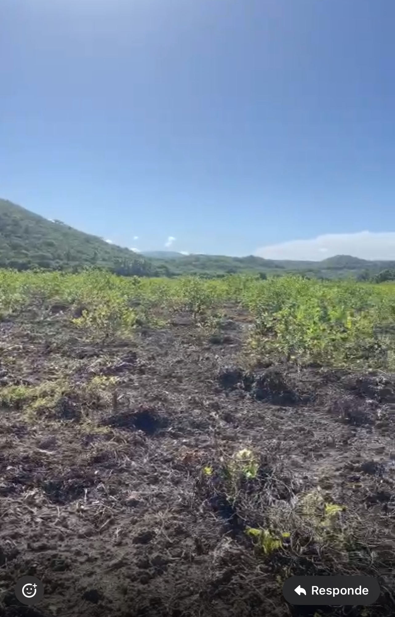 otros inmuebles - Vendo Finca Agrícola en la Yaya de Azúa, República Dominicana  2