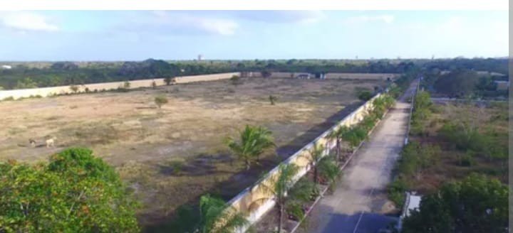 solares y terrenos - Se vende solar terreno en Engombe 0