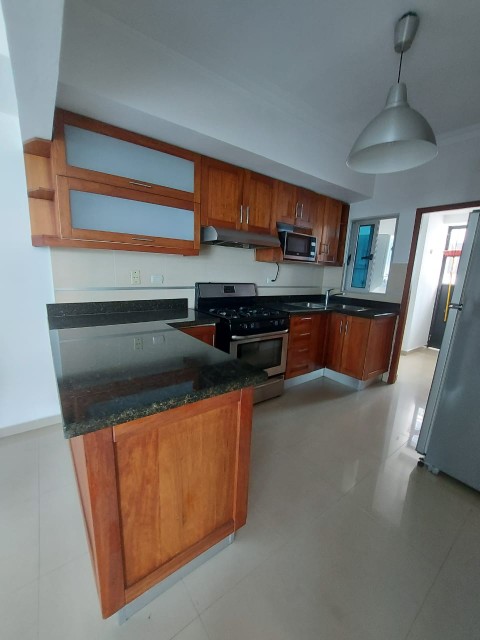 apartamentos - ALQUILO APARTAMENTO EN PIANTINI PARA EJECUTIVO EXCELENTES CONDICIONES  5