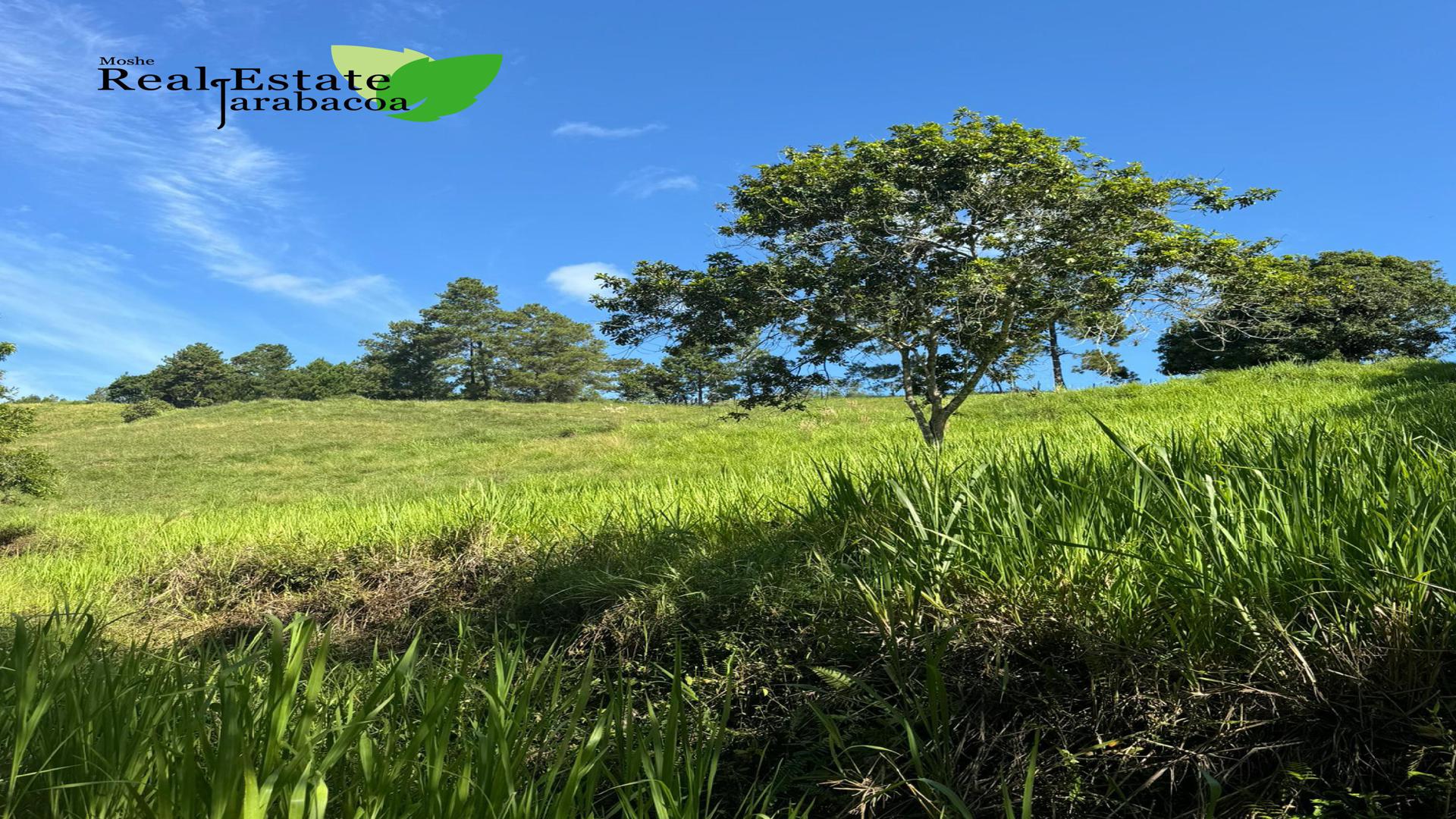 solares y terrenos - Terreno en venta Jarabacoa 2