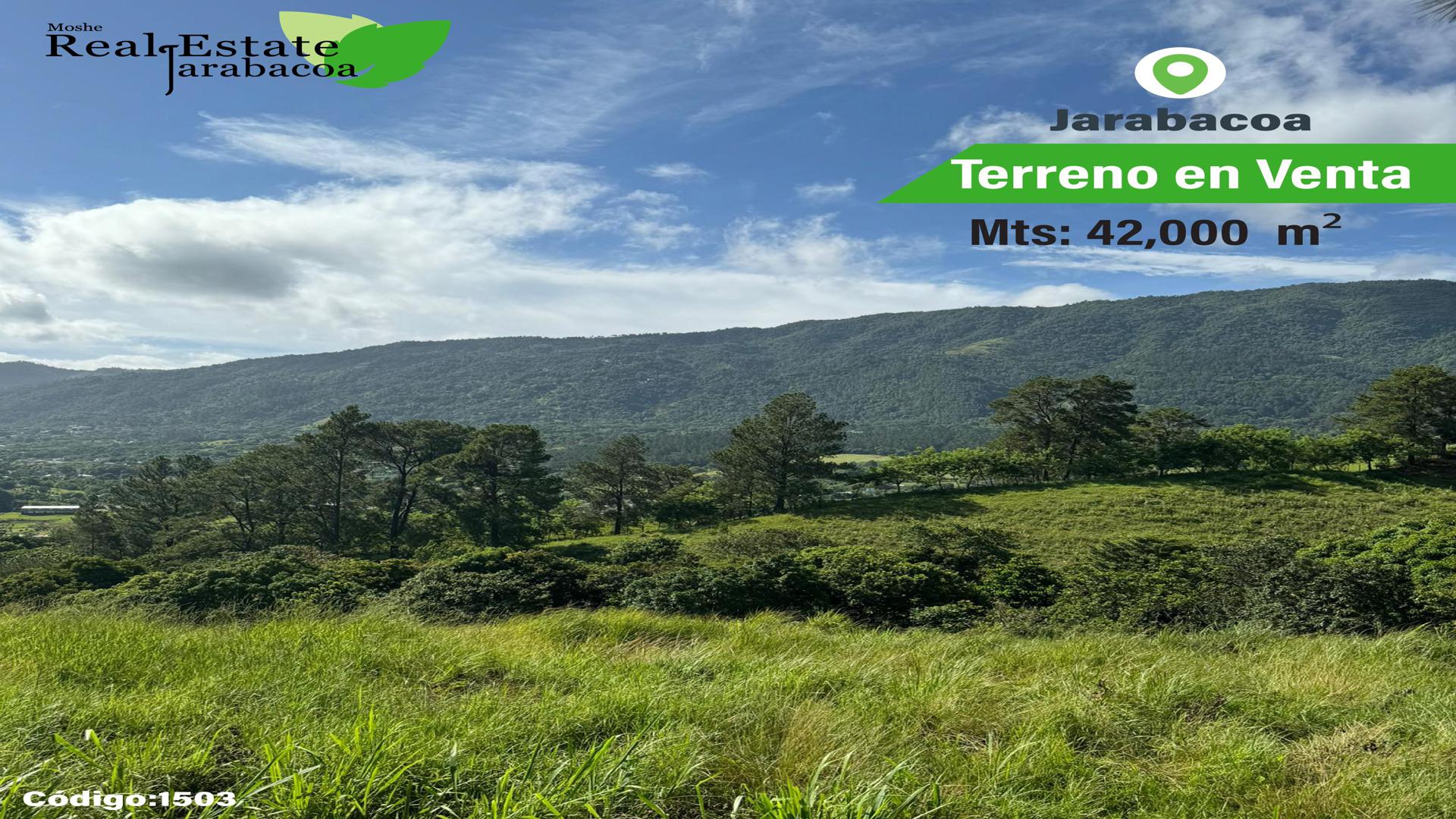 solares y terrenos - Terreno en venta Jarabacoa 3