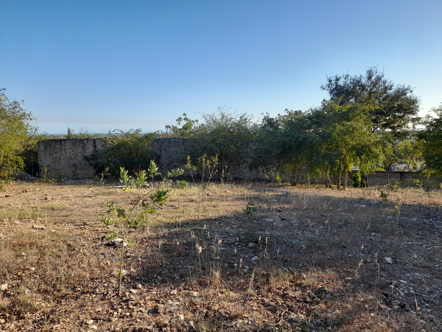 solares y terrenos - Se Vende Terreno con su Certificado de Título. 5