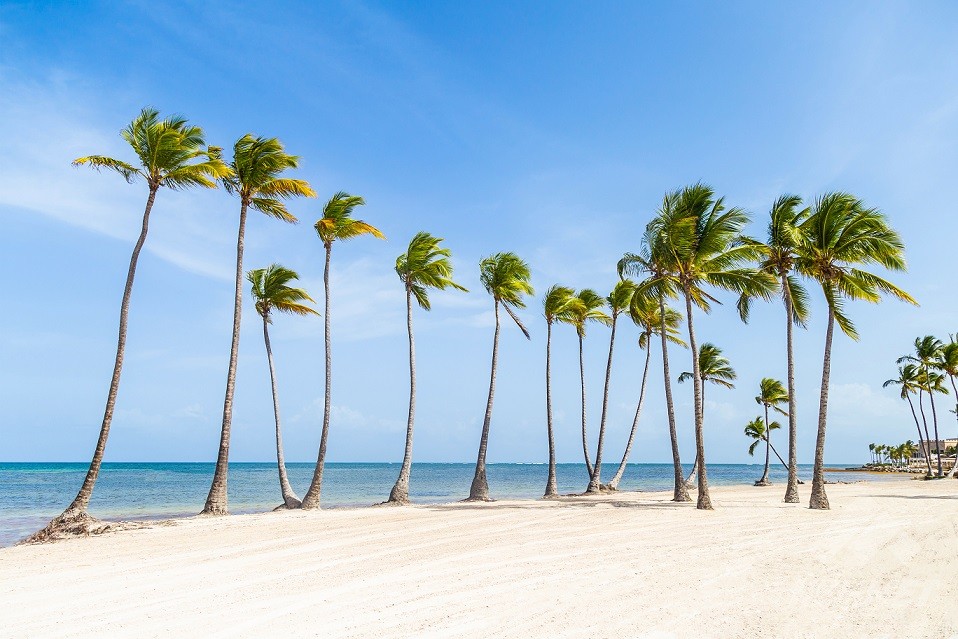 apartamentos - MINIPENTHOUSE AMUEBLADO MARINA CAPCANA REP. DOMINICANA 2024 5