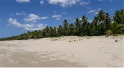 solares y terrenos - Vendo terreno en punta cana Bavaro 18,000,000 de Mts. Con más 2 Km. De playa 1