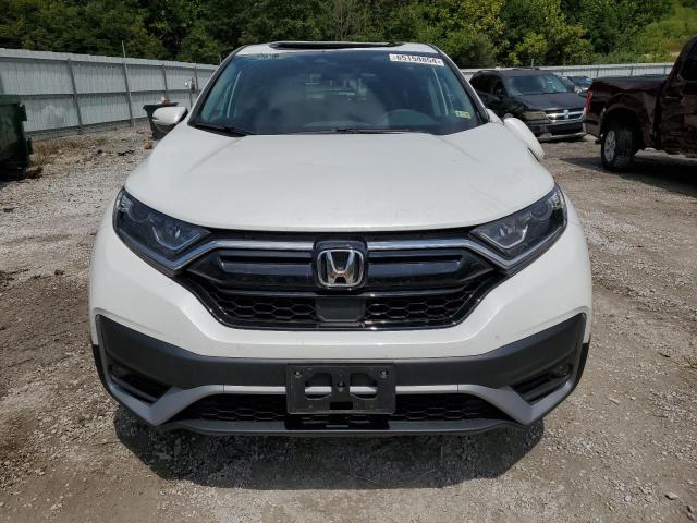 jeepetas y camionetas - Honda crv exl 2022 1