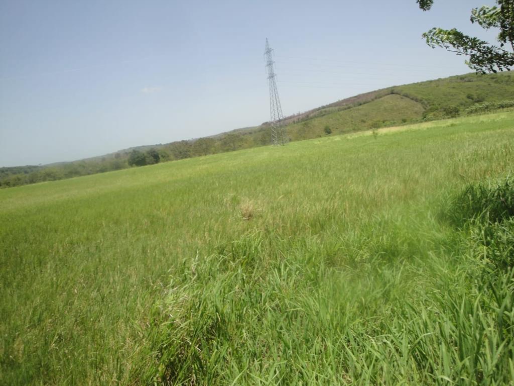 solares y terrenos - Vendo finca en Barahona de 45,000 tarea  5