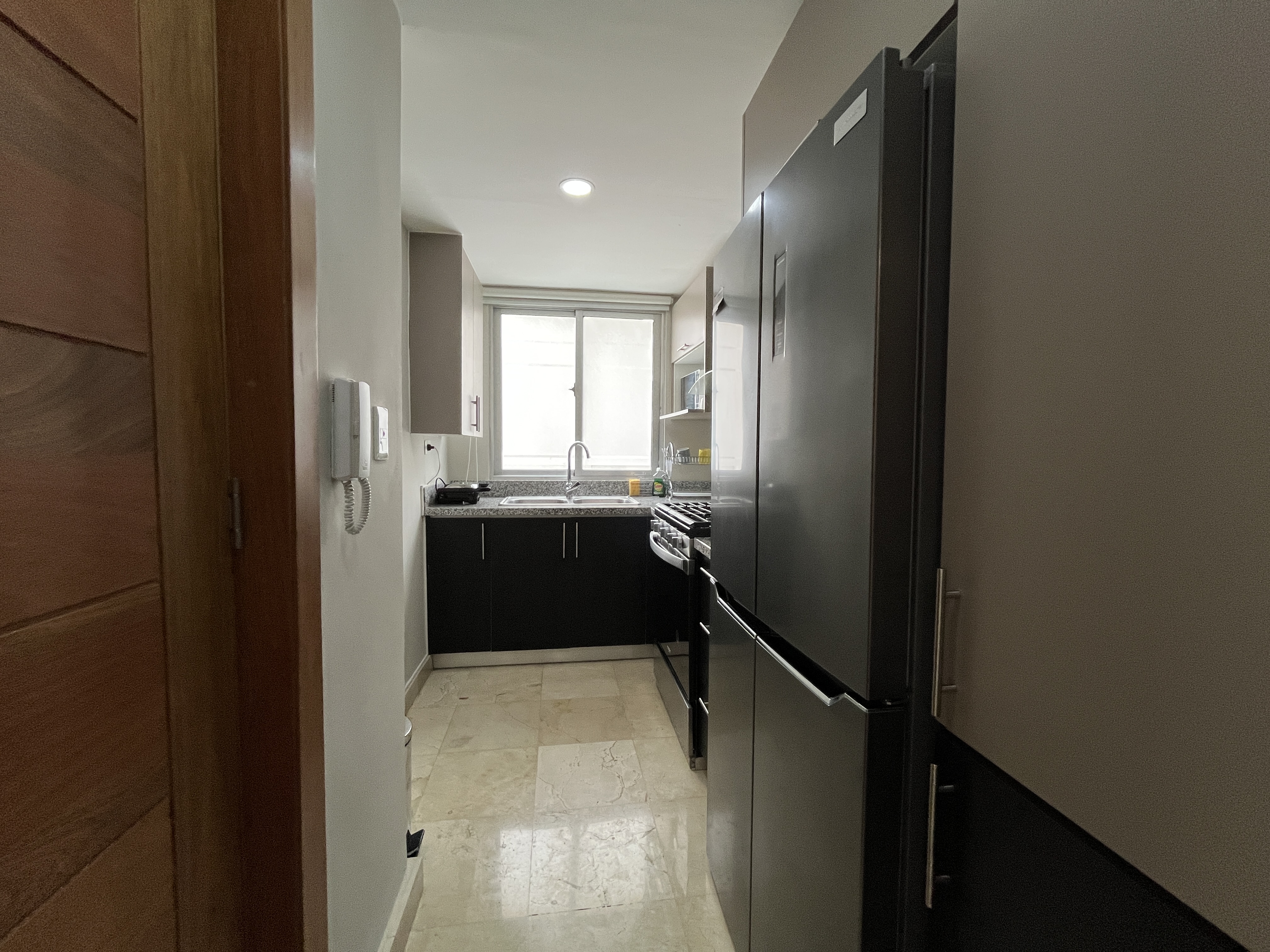 apartamentos - APARTAMENTO AMUEBLADO EN ALQUILER, PIANTINI 4