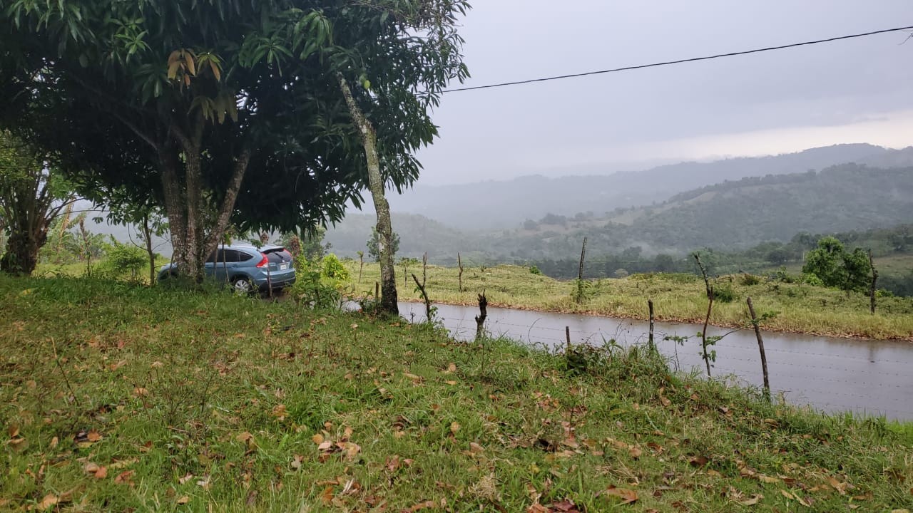 solares y terrenos - ( FINCA DE 4.5 TAREAS) Guaigui, La Vega