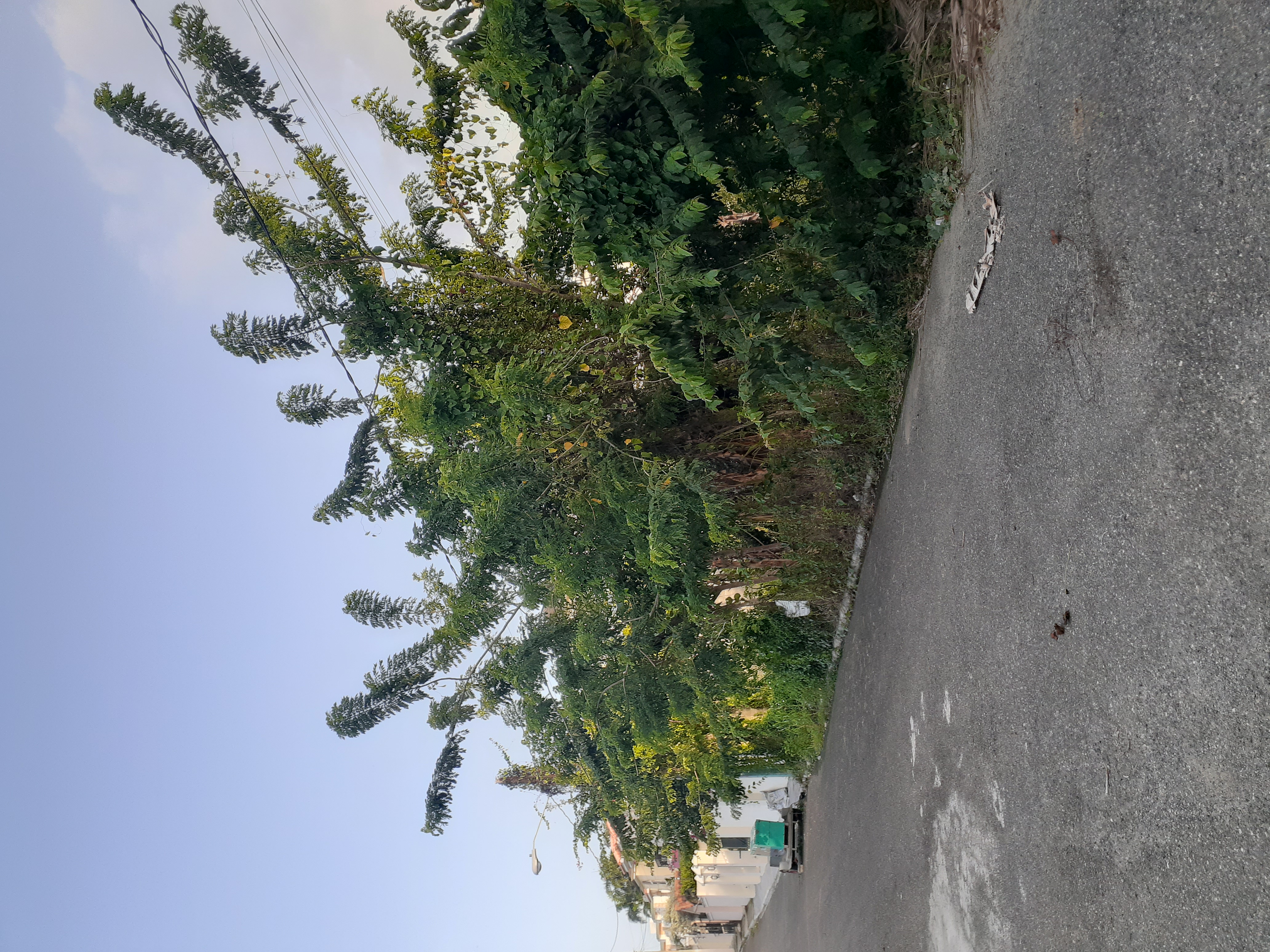 solares y terrenos - Solar en venta 1000 M2, deslindado, Puerto Plata 1