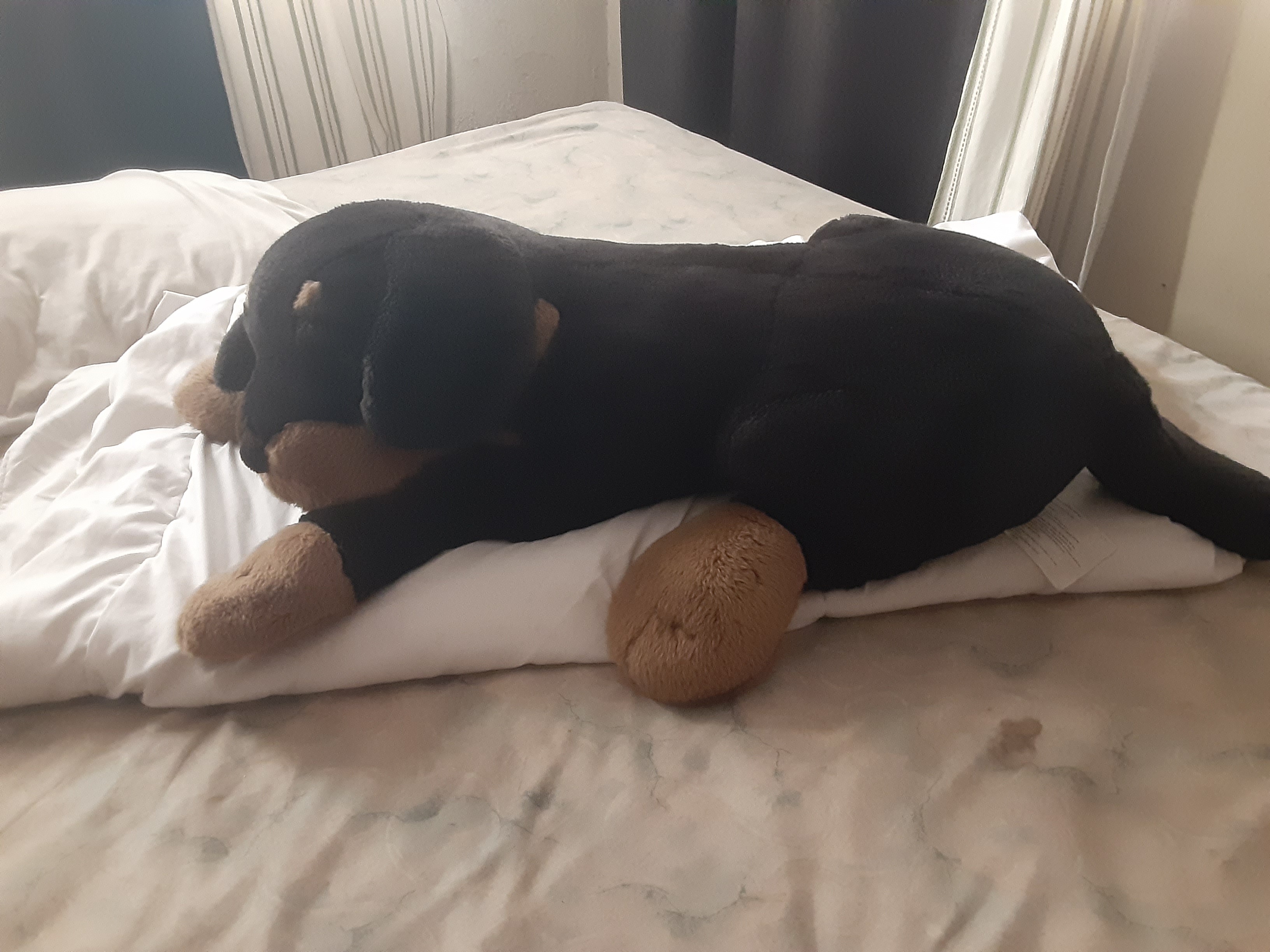 juguetes - Peluche de Rottweiler  1