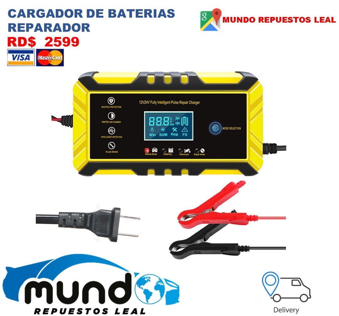 plantas e inversores - Cargador de bateria de 12v a 24v 