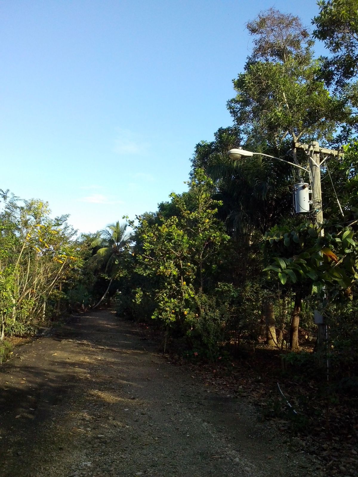 solares y terrenos - Finca en Guerra 4