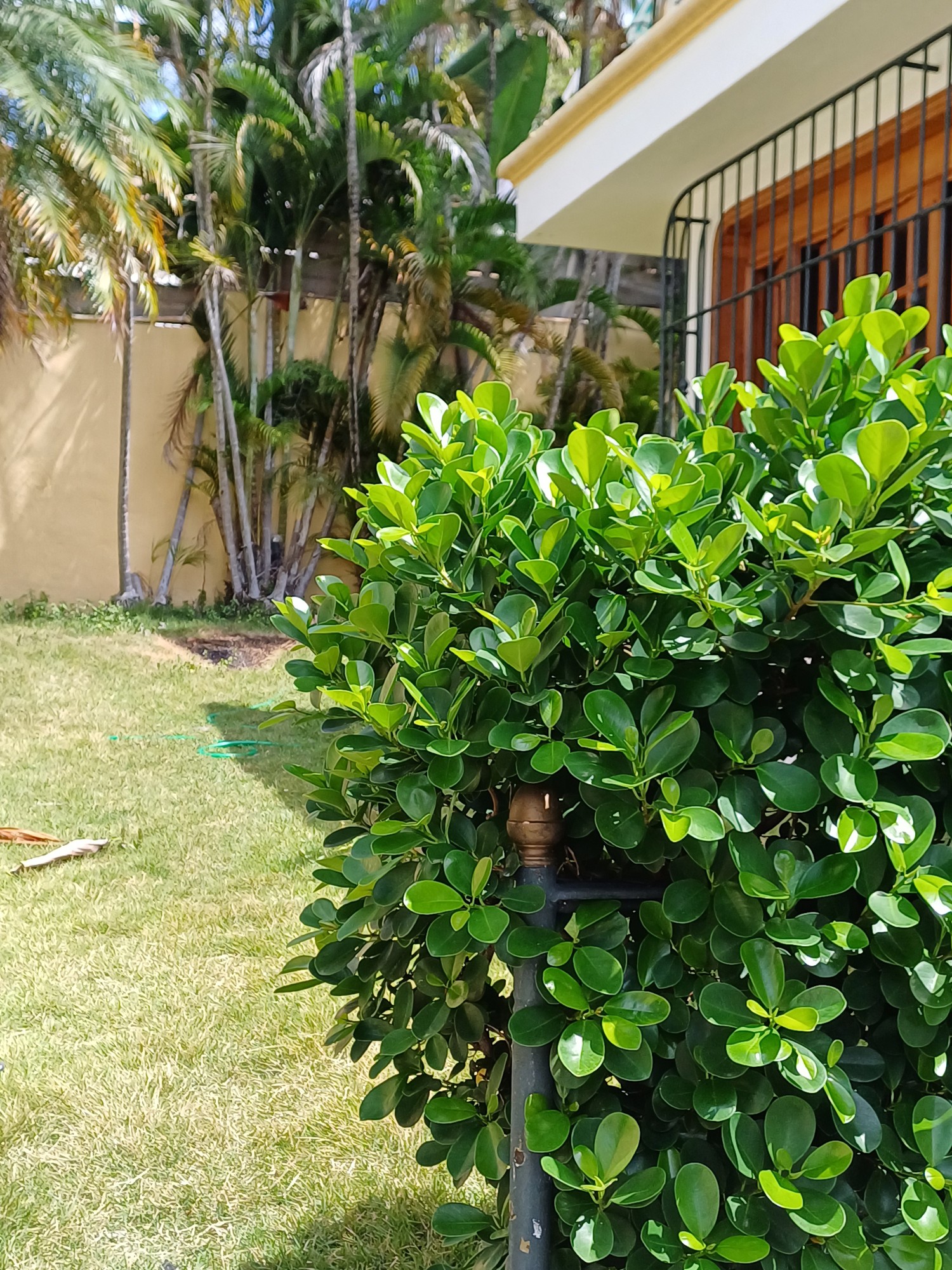 casas - CASA EN ALQUILER EN ALTOS DE ARROYO HONDO ! CERCA DEL BRAVO DE LA REP
 COLOMBIA