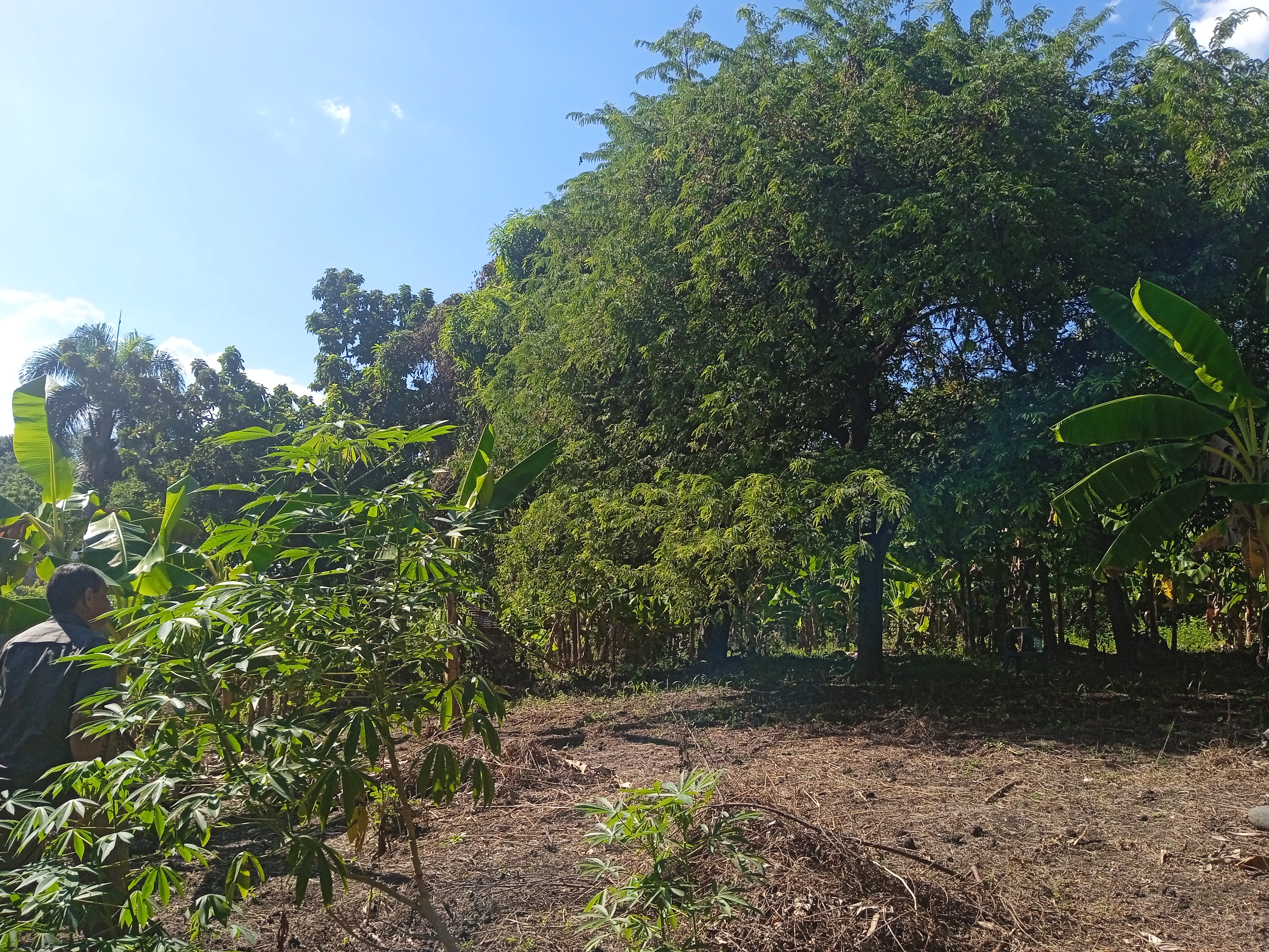 solares y terrenos - Terreno en venta en San Cristóbal  6