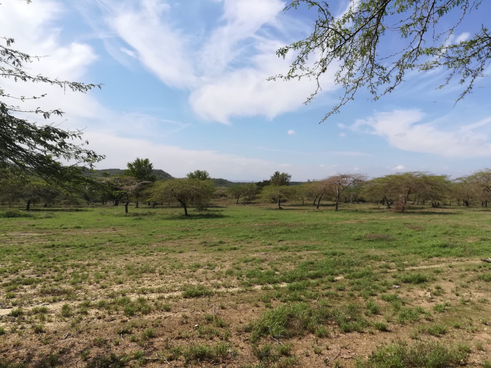 solares y terrenos - 1,855,000 Mts2 de Terreno en Guayubin, Montecristi, ara Proyecto de Energía o Zo 0