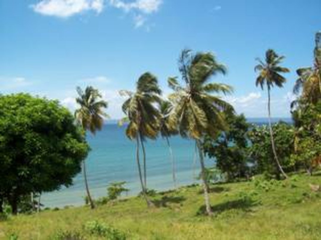 solares y terrenos -  solares en la bahia de samana republica dominicana