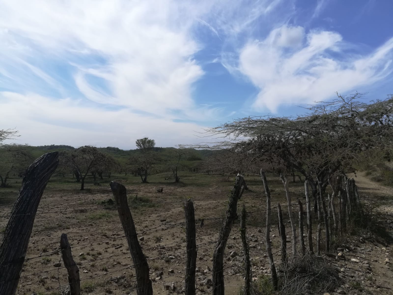 solares y terrenos - 1,855,000 Mts2 de Terreno en Guayubin, Montecristi, ara Proyecto de Energía o Zo 1