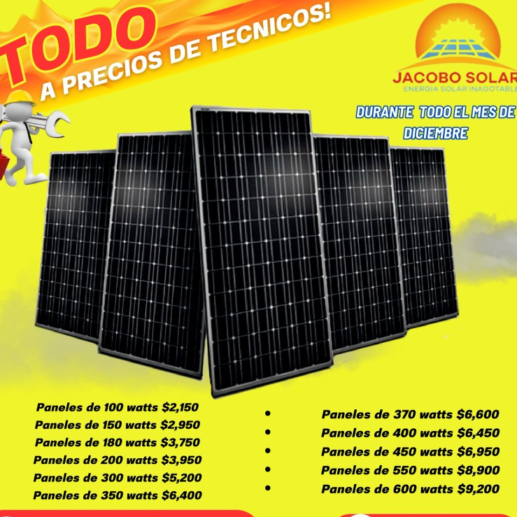 plantas e inversores - Paneles solares  0