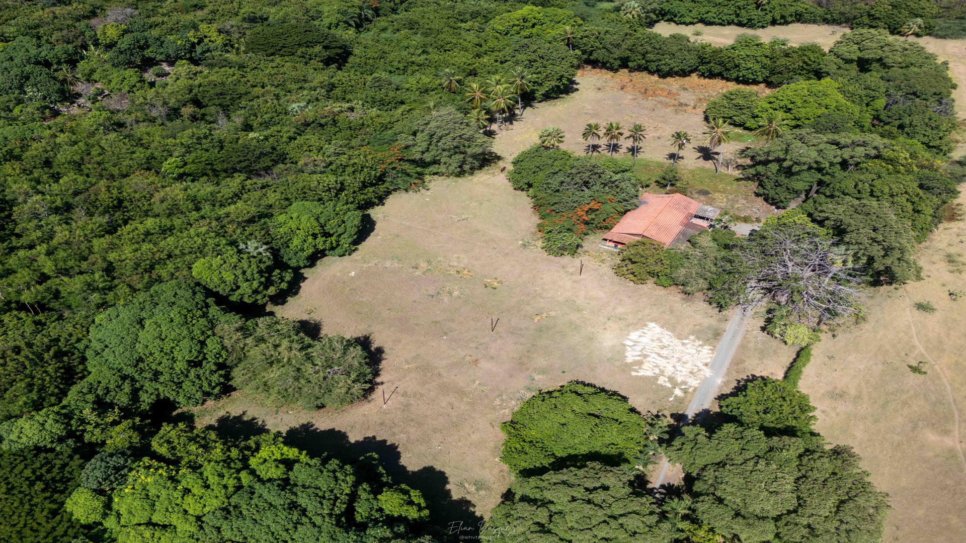 solares y terrenos - Excelente finca en Bani