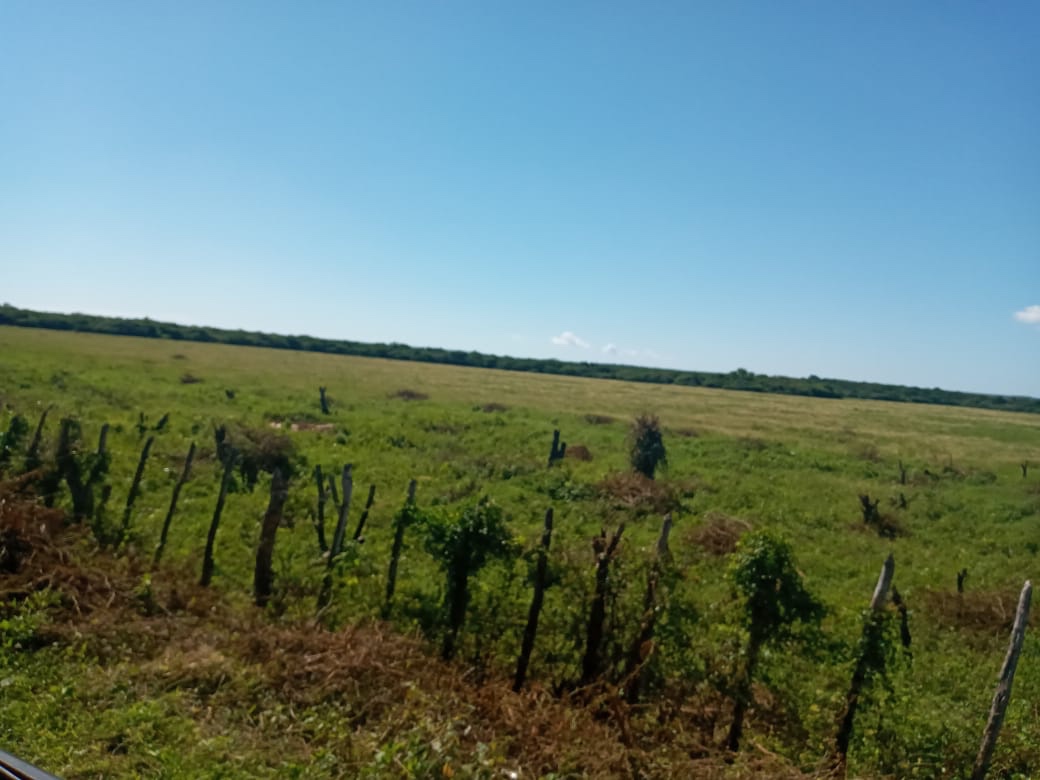 solares y terrenos - Vendo finca en Barahona de 45,000 tarea  8