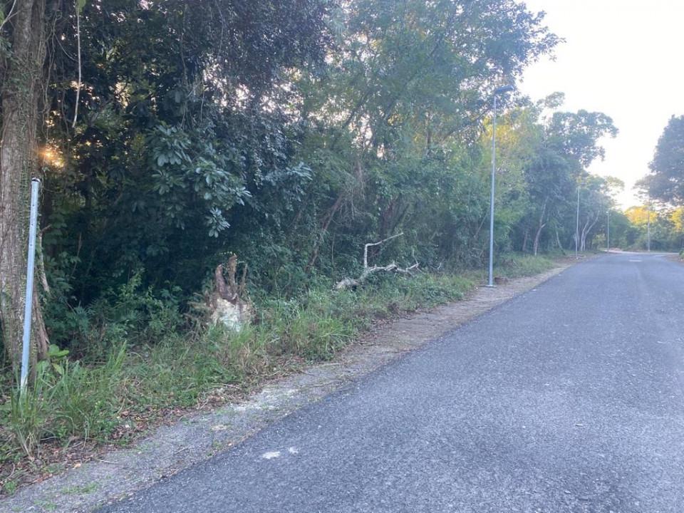 solares y terrenos - Terreno en Venta en JUAN DOLIO