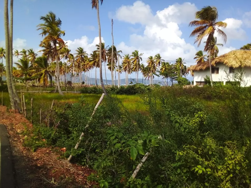 solares y terrenos - Terreno en Las Galeras cerca la playa de 705 m2