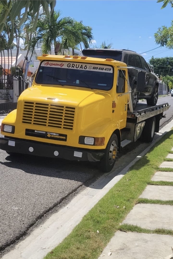 camiones y vehiculos pesados - Grúa De plataforma 