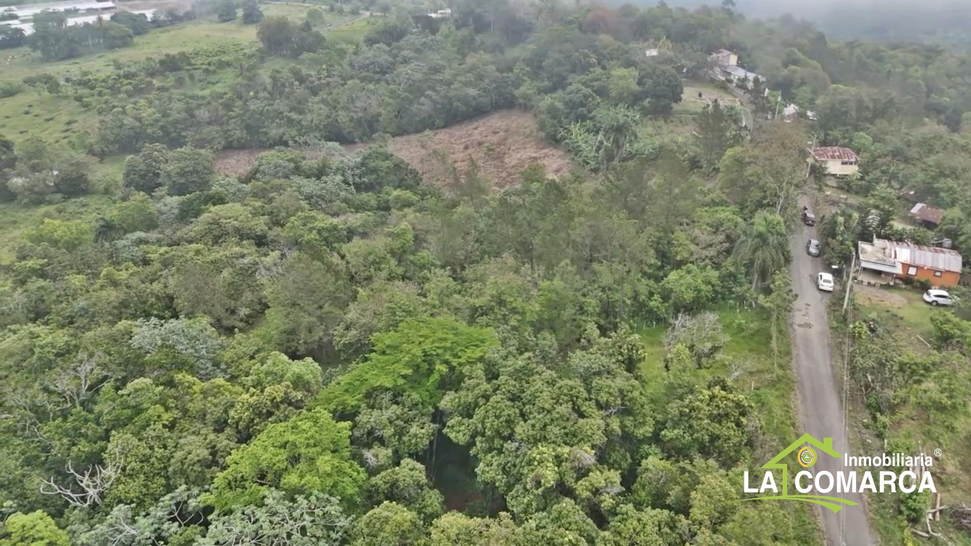 solares y terrenos - Terreno en Venta en Cercado Alto, La Vega, Republica Dominicana 2